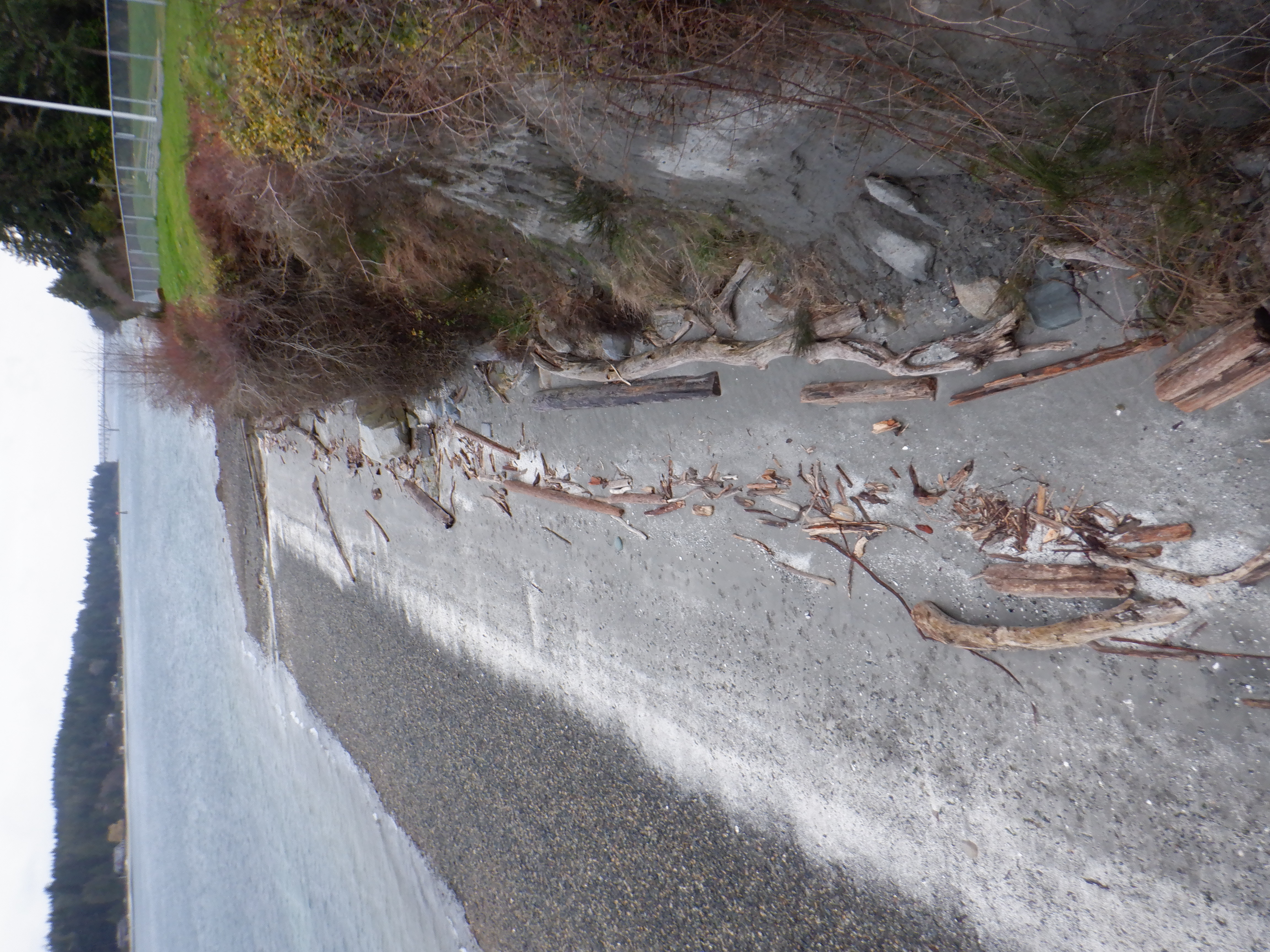 ./2020/03 - Seattle/AD_CF0954.JPG